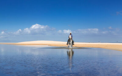 Affordable Horse Safaris: Discover Africa’s Best Value Riding Adventure