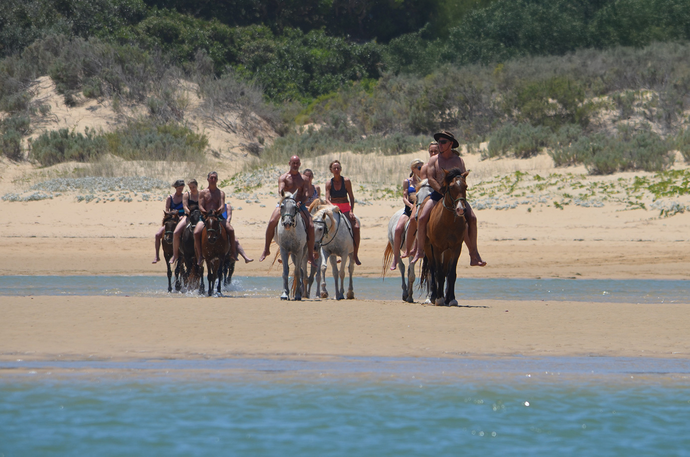Botswana Horse Safaris